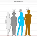 Ascending Heights with Height Compare Tool on Jushify