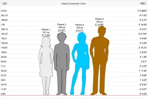 Ascending Heights with Height Compare Tool on Jushify